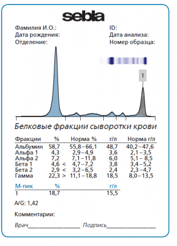 М градиент инвитро